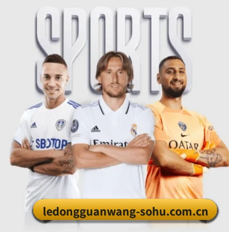 五大服务分区,信息按项目分类 - LD SPORTS
